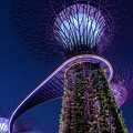 IMG 20190407 193744