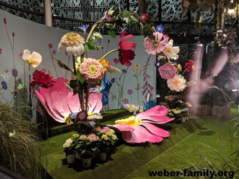 IMG 20190407 200900